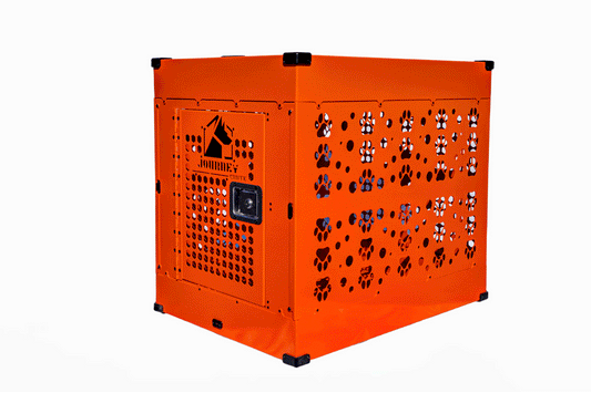 The Standard (Intermediate SALE)