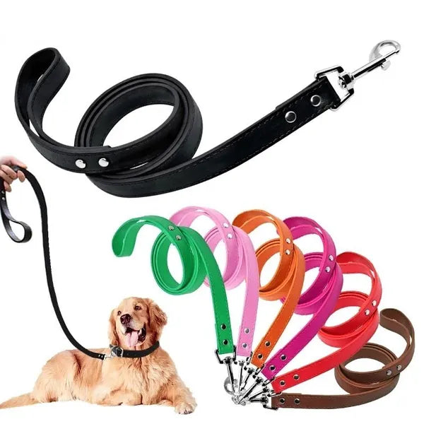 Leashes