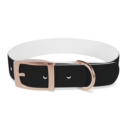 Stylish Adjustable Dog Collar