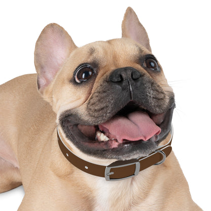 Stylish Dog Collar