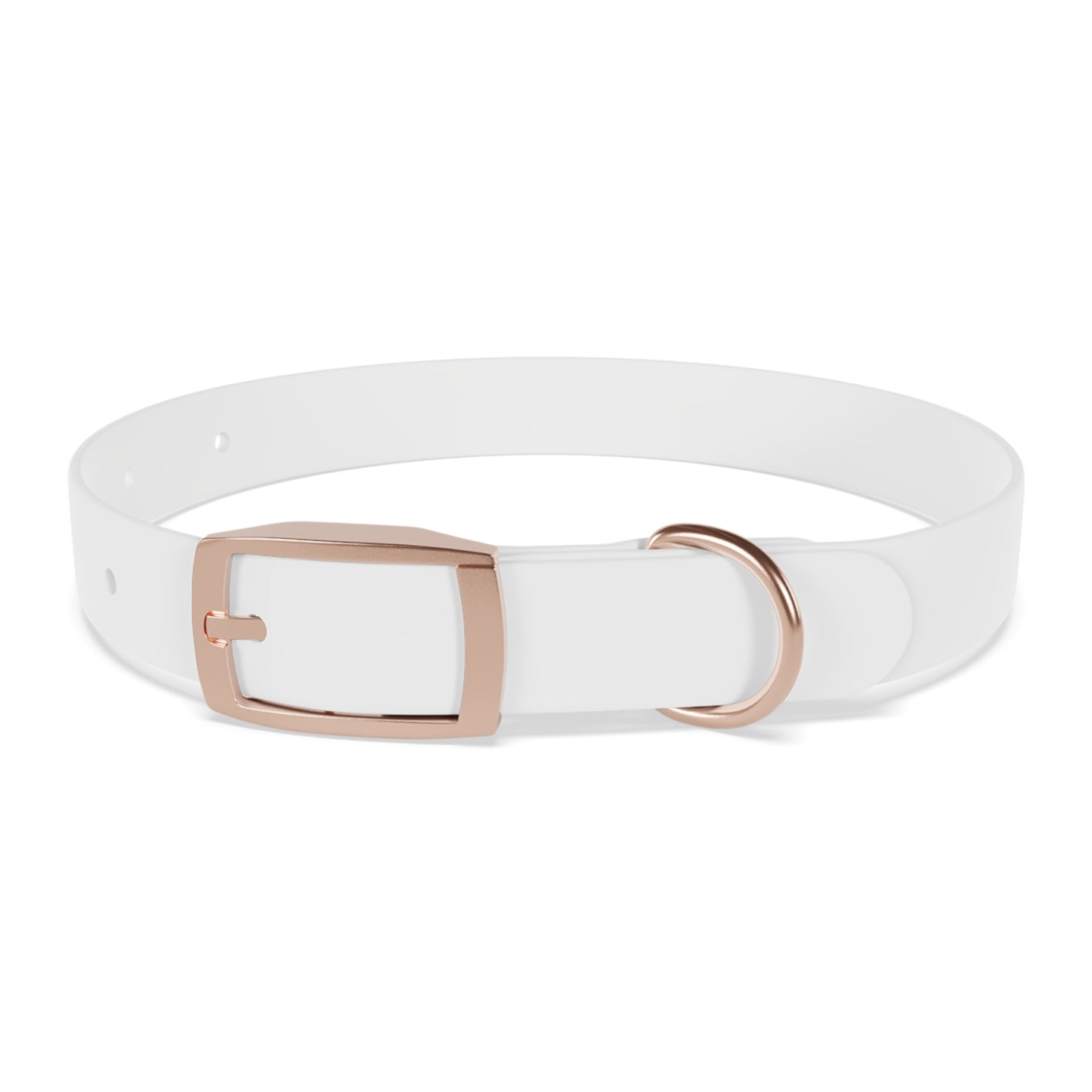 Stylish Dog Collar