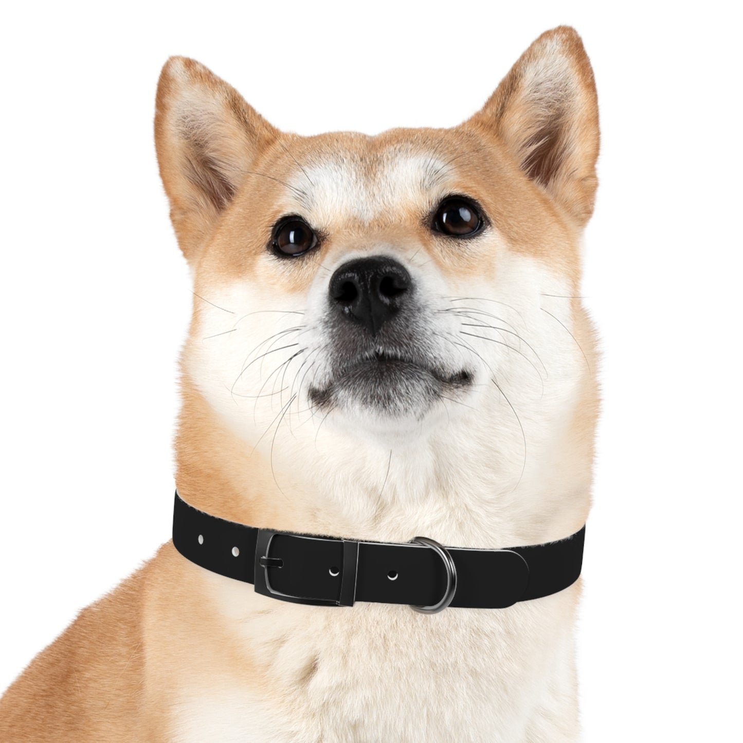 Stylish Adjustable Dog Collar