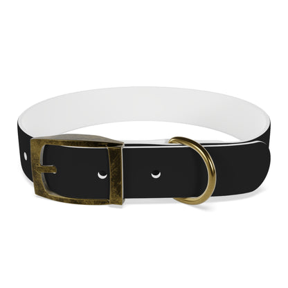 Stylish Adjustable Dog Collar