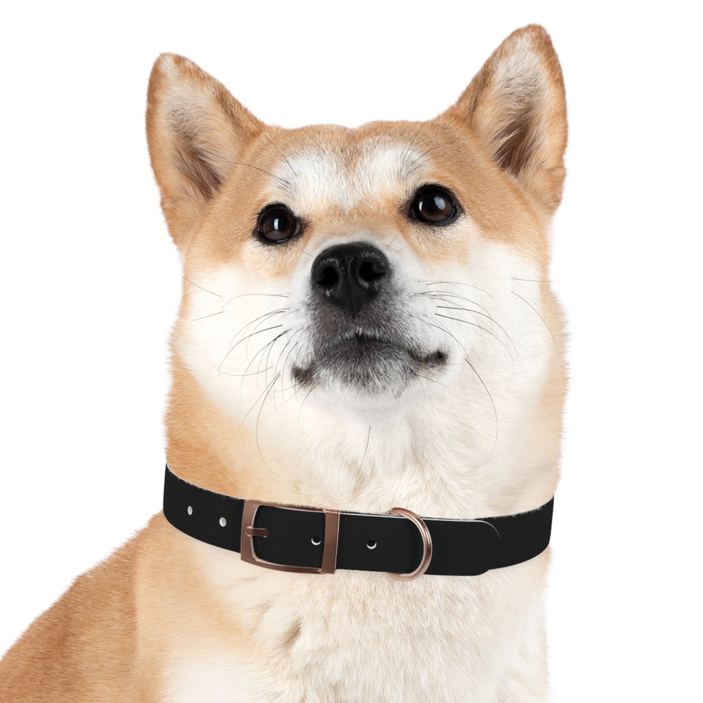 Stylish Adjustable Dog Collar