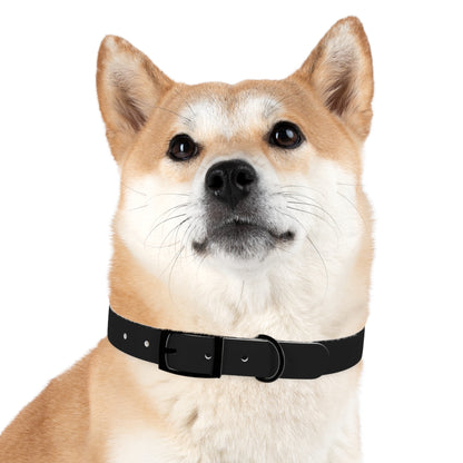 Stylish Adjustable Dog Collar