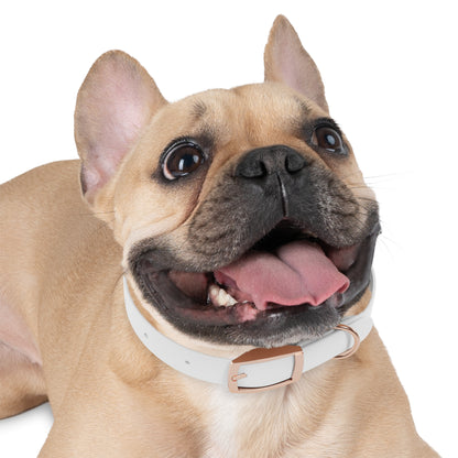 Stylish Dog Collar