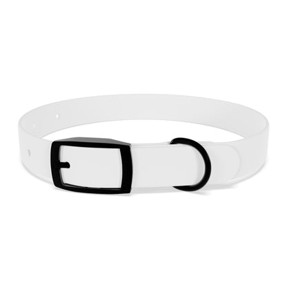 Stylish Dog Collar