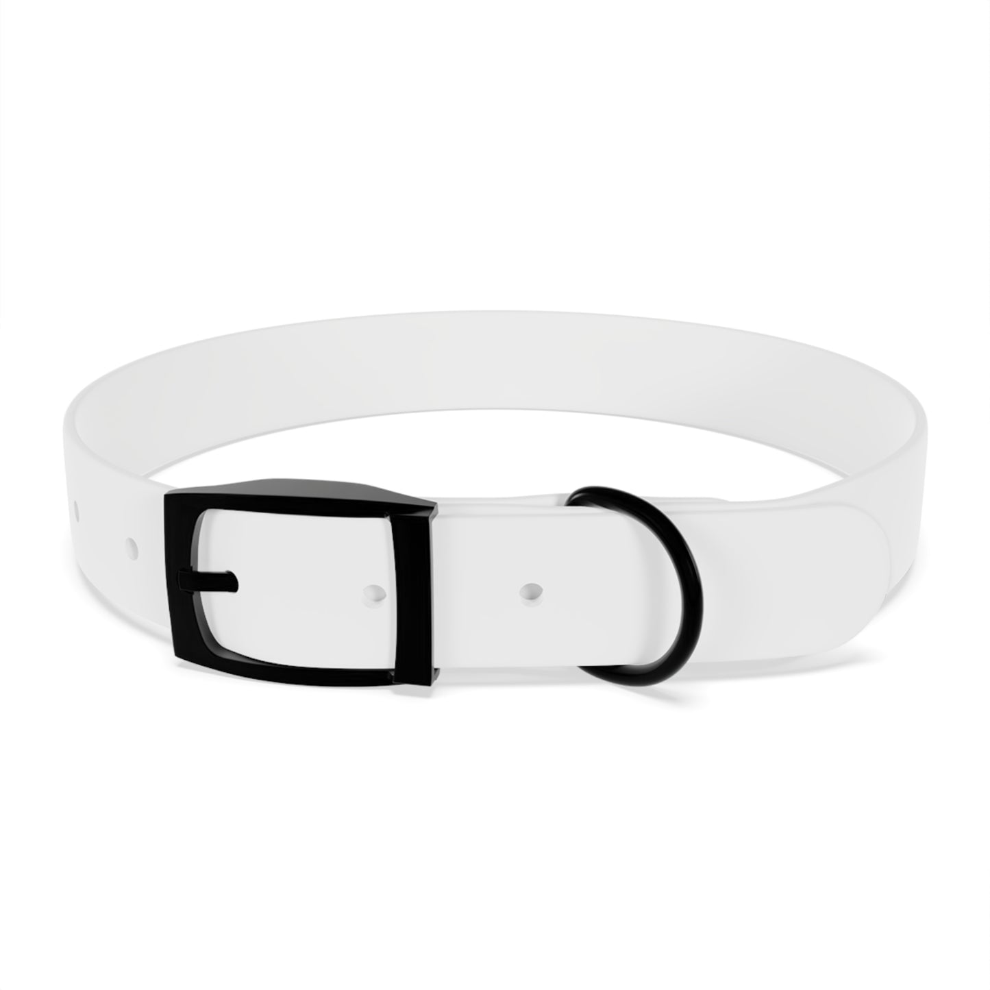 Stylish Dog Collar