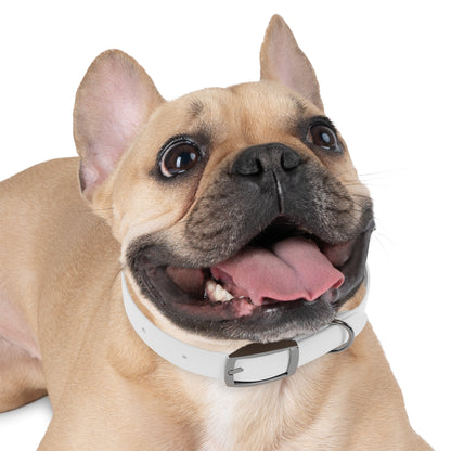 Stylish Dog Collar