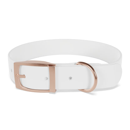 Stylish Dog Collar