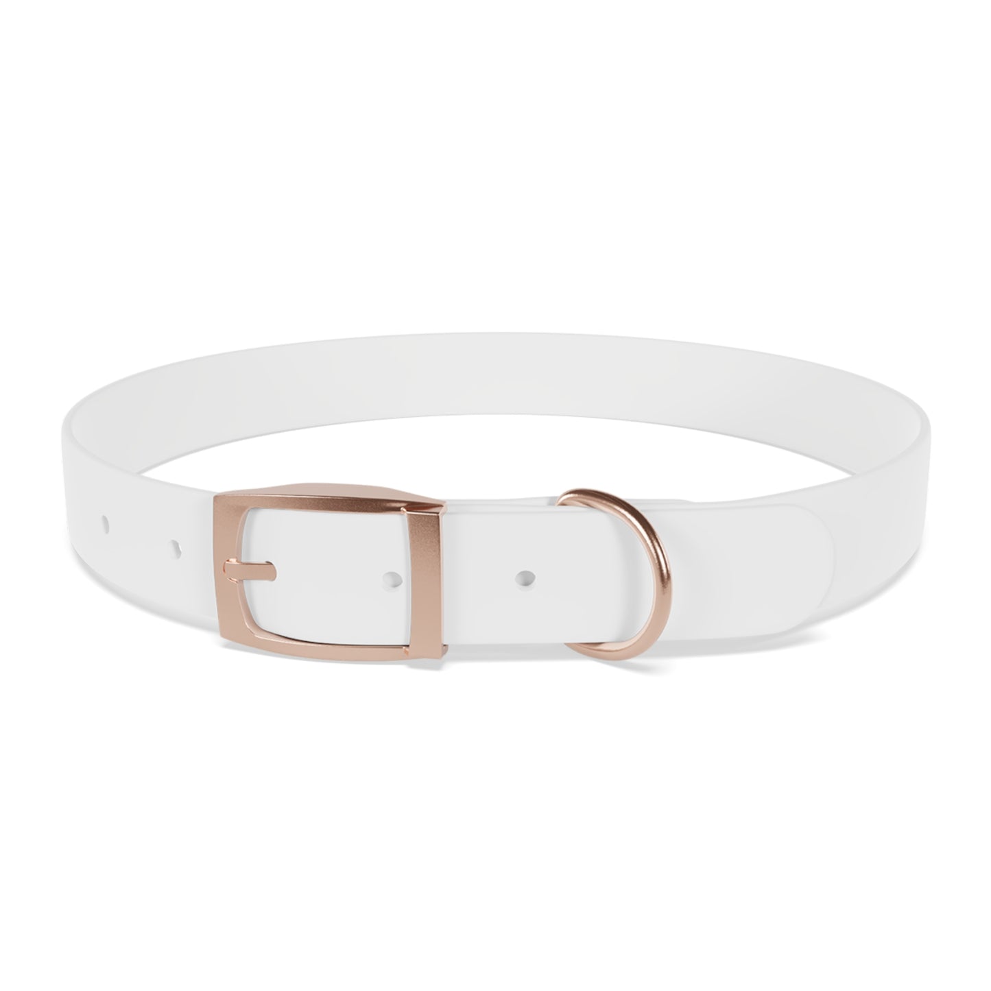 Stylish Dog Collar