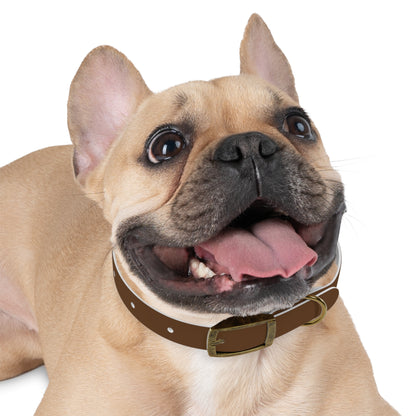 Stylish Dog Collar