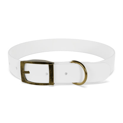 Stylish Dog Collar