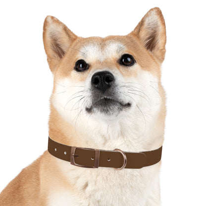 Stylish Dog Collar
