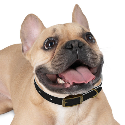 Stylish Adjustable Dog Collar