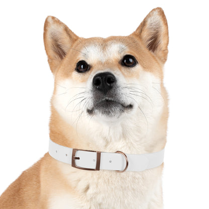 Stylish Dog Collar