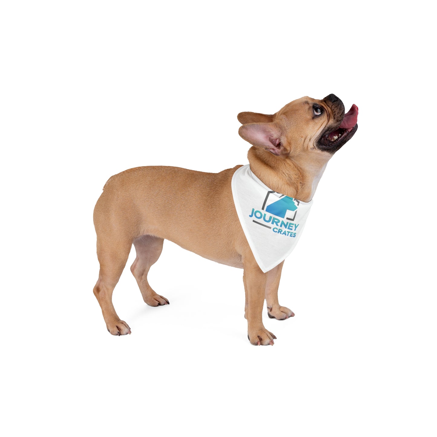Stylish Pet Bandana for Dogs