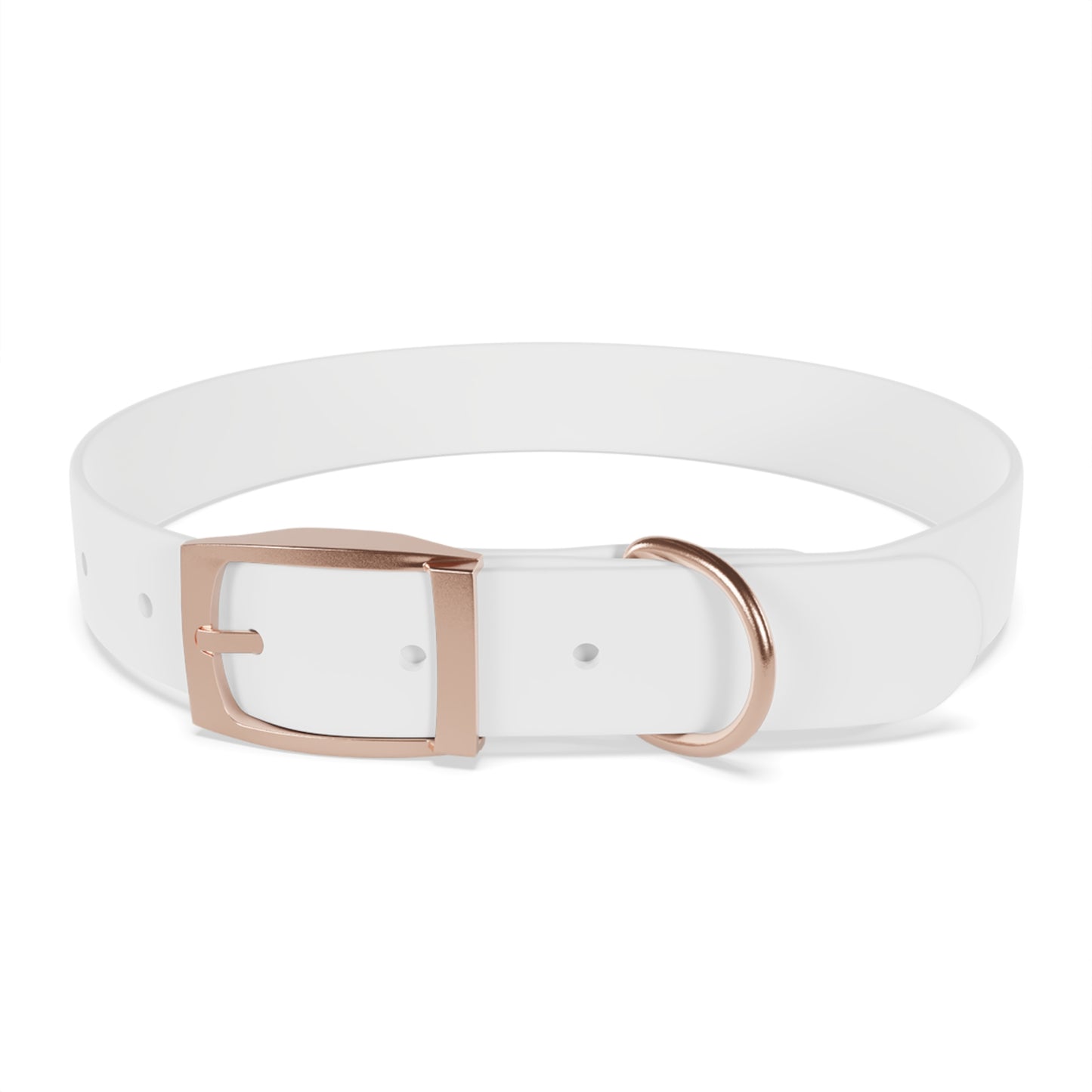 Stylish Dog Collar